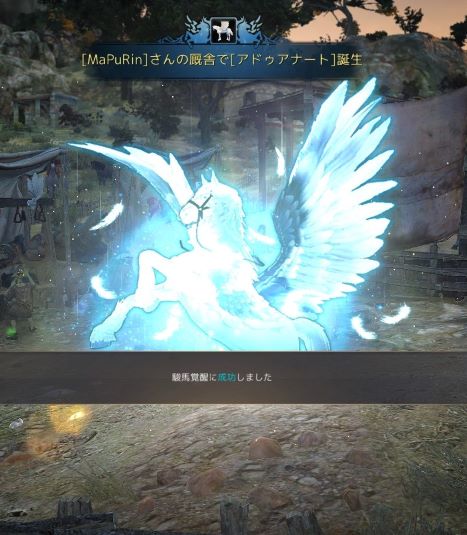 アドゥアナート アドゥアナート