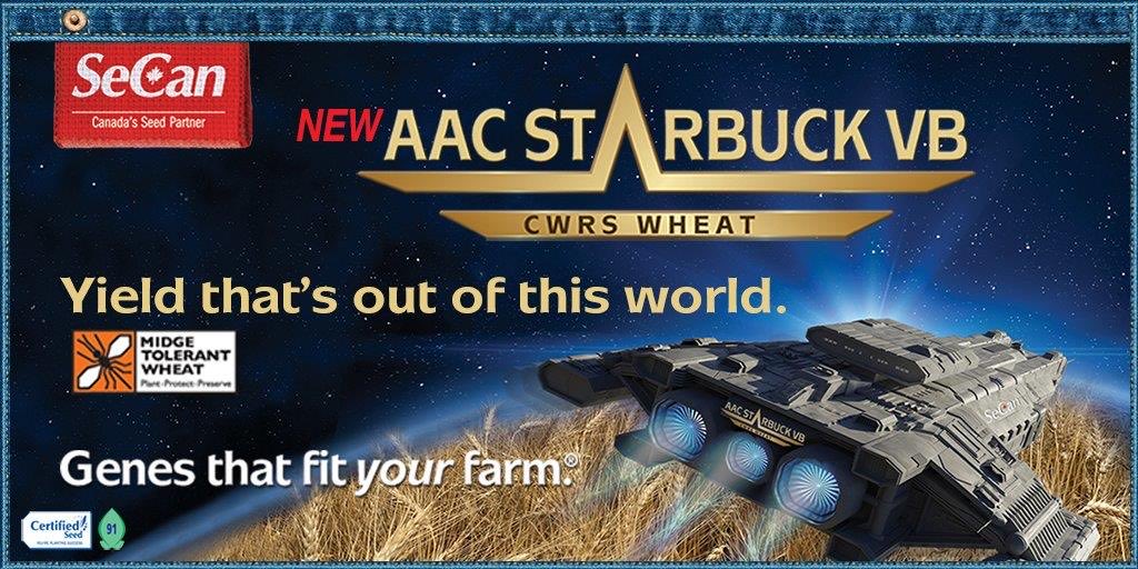 Brad Schemenauer tweet media