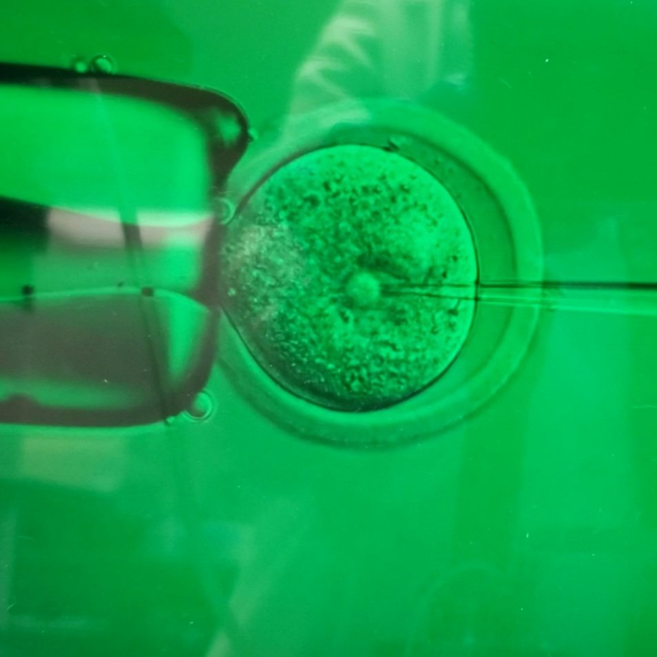 Rae (@GammaRae5) | Twitter