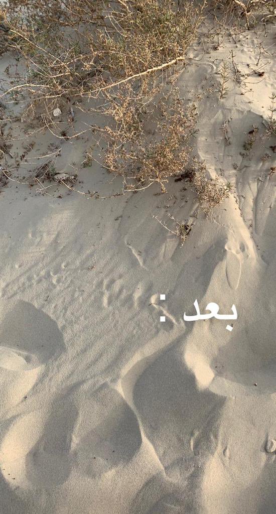 kfj_team's tweet photo. صورة وطنية مشرّفة من مشاركة المتطوعات  بحملة #الشرقية_نظيفة في شهرها الثالث ، مع الالتزام بتطبيق كافة الإجراءات الإحترازية والتدابير الوقائية . https://t.co/CRcPmtmhWa