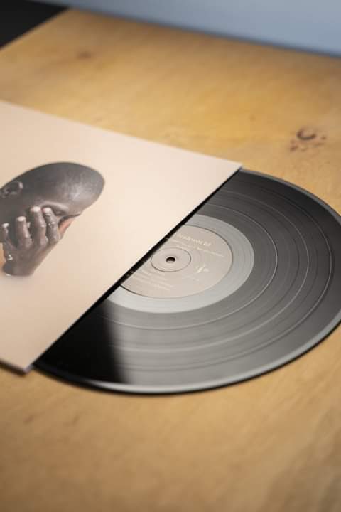 fleshworldpl's tweet photo. We just received a final restock of these beauties from our label, This Charming Man Records! Get them while we still have them. Sadly, the clear ones are irrevocably sold out. Get them on our Bandcamp, https://t.co/8WXUVrRMlN #vinyl https://t.co/qGByWqmmc5