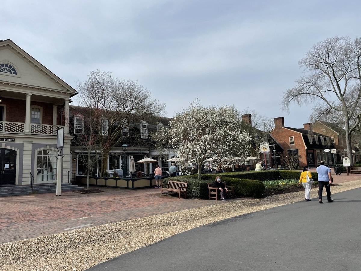tom_savino's tweet photo. #SpringinVA Things are warming up and #VB and #williamsburg are open for business #EBU #Diamondresorts @0neTeamVA @jasonmilton83 @Foe_Shannon @Rydowl2010 https://t.co/CZ1Zx8EX6l