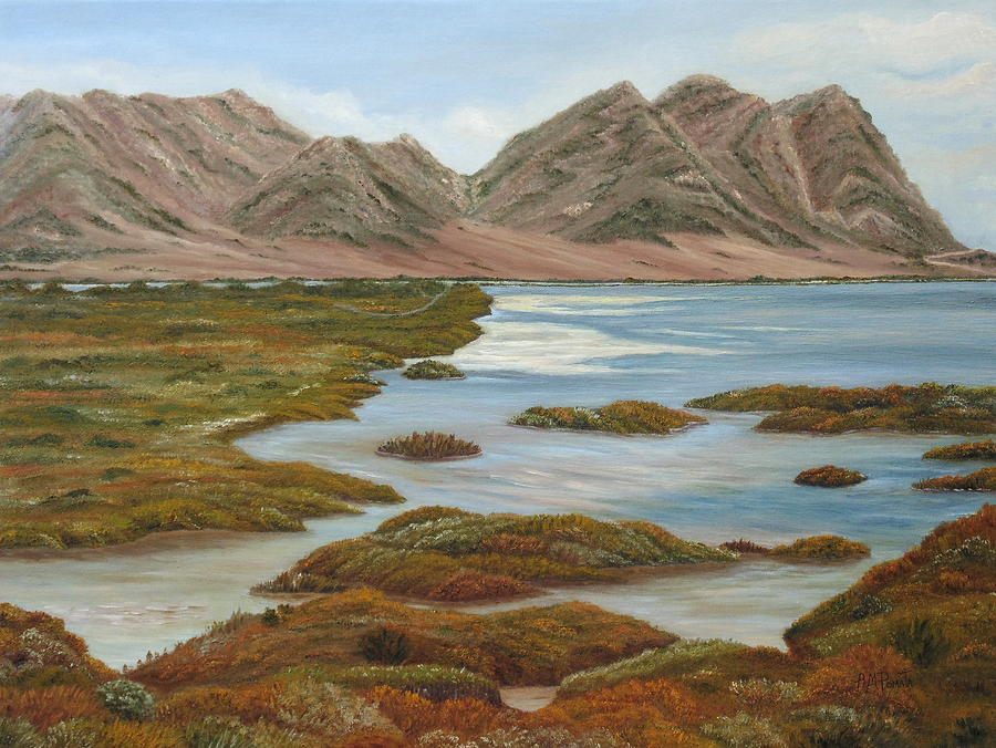 Ángeles M. Pomata (@ampomata) on Twitter photo This is my painting "Salt Marsh". You can check it out here: fineartamerica.com/featured/salt-… #art #arte #kunst #искусство #艺术 #アート #oilpainting #contemporaryart #ArtistOnTwitter #landscape #summer #beach #beachlife #seascape #cabodegata #Níjar #Spain #marsh #salinas #repost This is my painting "Salt Marsh". You can check it out here: fineartamerica.com/featured/salt-… #art #arte #kunst #искусство #艺术 #アート #oilpainting #contemporaryart #ArtistOnTwitter #landscape #summer #beach #beachlife #seascape #cabodegata #Níjar #Spain #marsh #salinas #repost