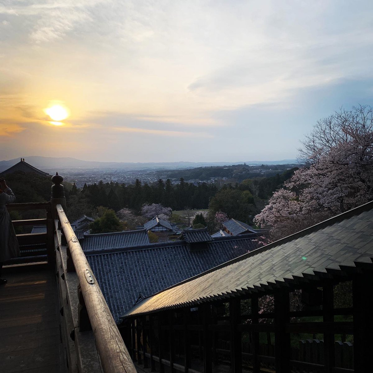 hiroshot's tweet photo. 久しぶりのロードバイク。花見ライド日和。この季節、二月堂から見下ろす景色、好きなんです。あんまり撮らない自撮りも。#桜 #ならクル #ロードバイク #自撮り下手 #奈良公園 #二月堂 #nara #cyclingjapan #roadbike #naracycling #sakuraride #花見ライド #ticcc #thisiscambridge #specialized https://t.co/gMmF6xCHOP