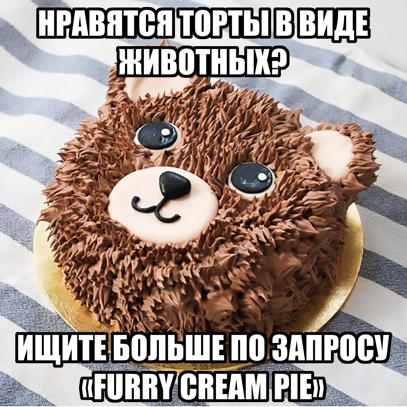 ExfBywSWUAASpF6?format=jpg&name=large