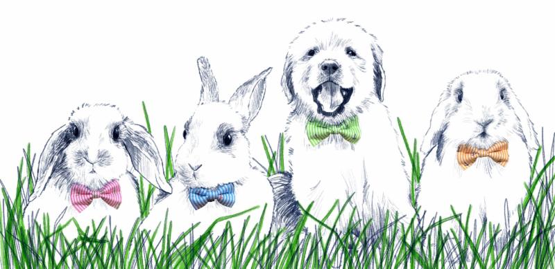 ourgooddogspot's tweet photo. ??? Easter Goodies Ship Free thru tomorrow...?? https://t.co/TWMoDHaUda https://t.co/nfNfLoxEt7