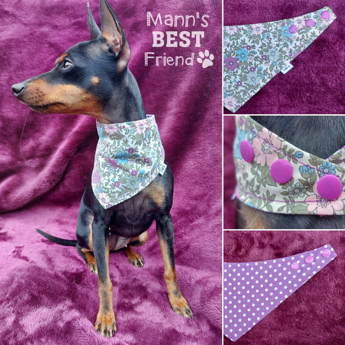 mannsbestfrien3's tweet photo. Olive looks great in purple, what colour does your dog suit?

#purple #purplebandana #doggybandanas #dogbandana #dogfashion #puppyclothes #dogsinclothes #dogfashionista #doggyapparel #smalldogs #lovedogs #giftideas #crafturday #handmade #SaturdaySwag #SocialSaturday https://t.co/Xqp9ZXsX8Z