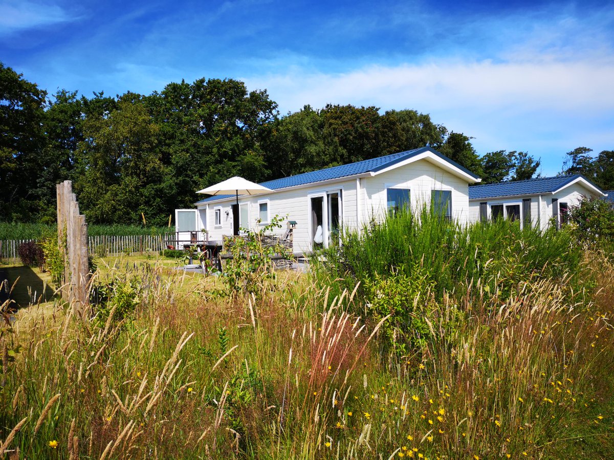 TexelSkeep's tweet photo. Ze zijn er wel hoor, van die fijne chalets op #Texel die niet duurder zijn geworden in coronatijd. Rust en ruimte #duinenvantexel  https://t.co/Q47Zrw1hCc https://t.co/Ytm4q0MXe5