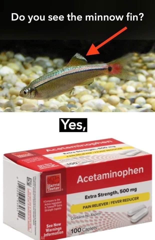 #punny #druggist #pharmacydadjokes