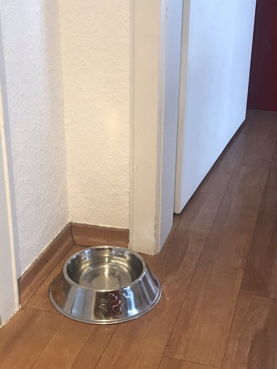 DietelStephan's tweet photo. Business-Tipp 475: Ein Bürohund sorgt für Sympathie und aufgelockerte Atmosphäre bei Besuchern und Mitarbeitern. Wer selbst keinen Hund hat, kann zumindest einen Napf aufstellen und damit einen Teil des Ambientes erzielen. 😂😎 https://t.co/AeuJtLVaDQ