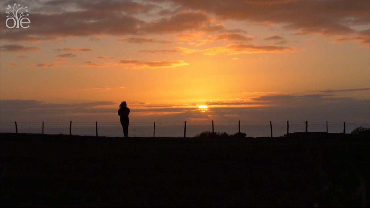 Tonight's the night! Tune in at 8.15pm tonight for our beautiful short film for #EarthHour, before switching off for your world at 8:30pm. Don't miss it!  

orchestrafortheearth.co.uk/ofe-online

<a href="/earthhour/">Earth Hour Official</a> <a href="/wwfuk/">WWF UK</a>