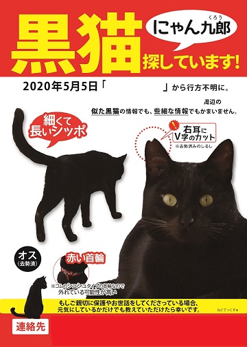 necotex's tweet photo. 【迷子猫】にゃん九郎君を探しています。2020年5月5日、香川県で迷子に。黒猫の男の子。右耳にカットあり。細くて長い尻尾。迷子当時は赤い首輪、外れている可能性大。トライアル中の脱走の為、土地勘なし。#迷子猫　#迷い猫　#飼い猫　#黒猫　#去勢済み　#Vカット　#耳カット　#オス　#香川県 #三豊市 https://t.co/kwAQ78hLVe