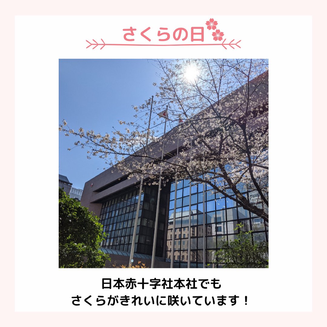 日赤サービス 日本赤十字社関連グッズのショップ Nisseki Service Twitter