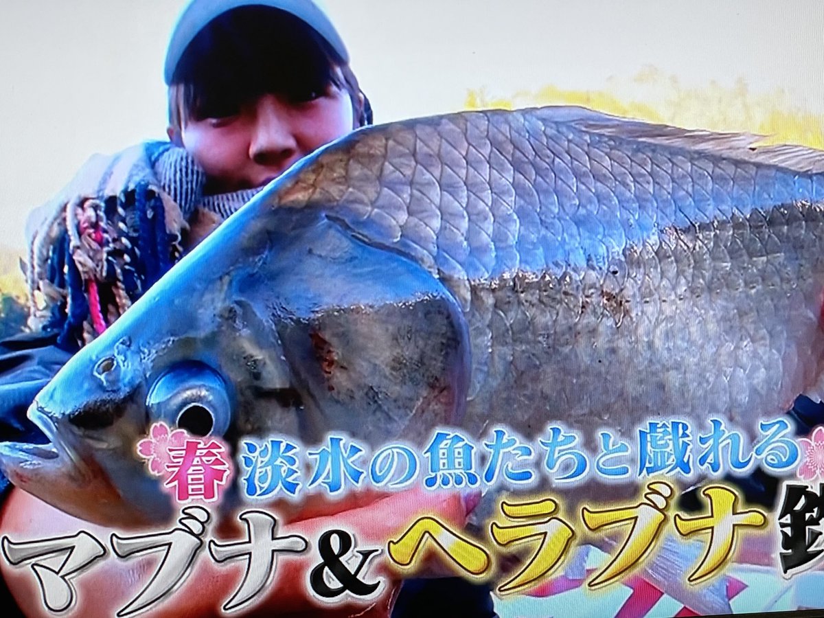 釣り侍 Gogofishing34 Twitter 釣り侍 Gogofishing34 Twitter
