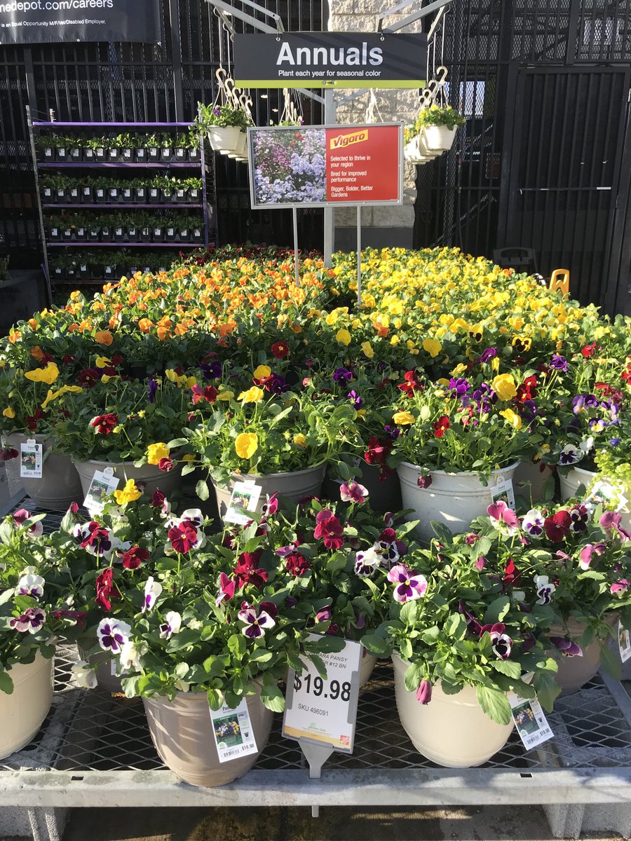 Store 2506 and Bell Nursery...a winning combination!!! ⁦@Alexis_3323⁩ ⁦@PaulDeveno⁩ ⁦@BellNursery⁩