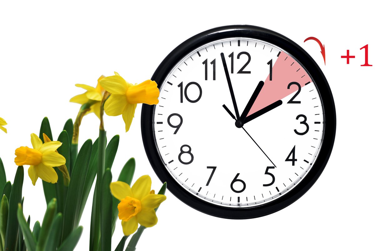 personal_class's tweet photo. Don't forget the clocks go forward tonight https://t.co/25j88gJ1CB