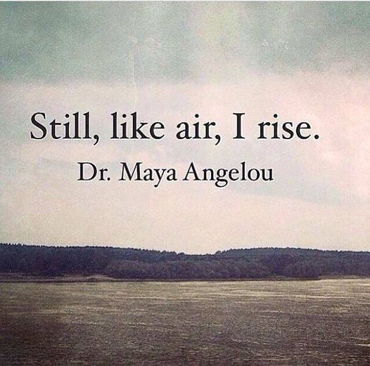 Phyllis Griggs tweet media