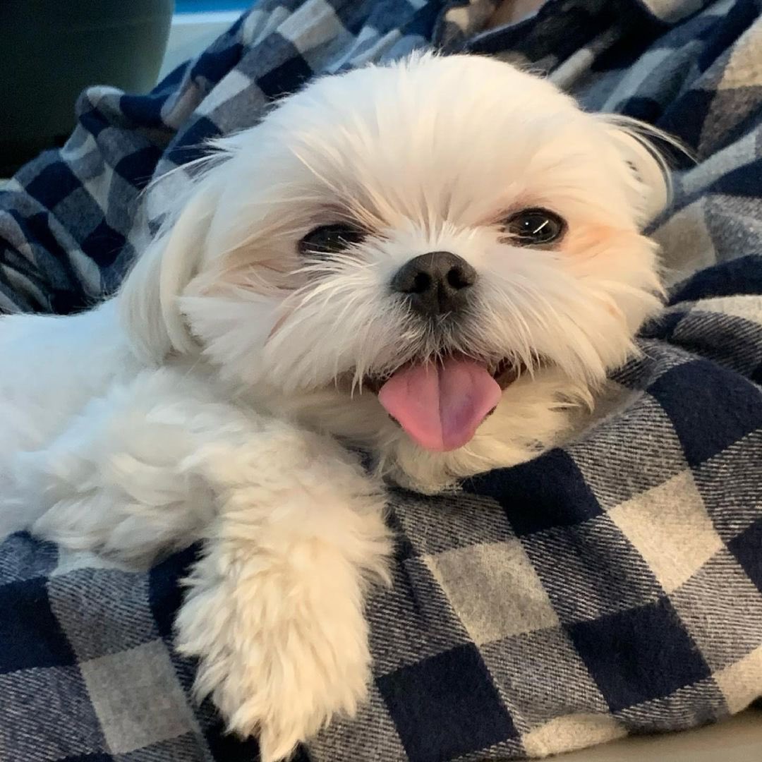 JOFUO5's tweet photo. 아구😍
누가 오세지니고
누가 오쪼꼬미야🥰 https://t.co/k347ZhfwJ6
