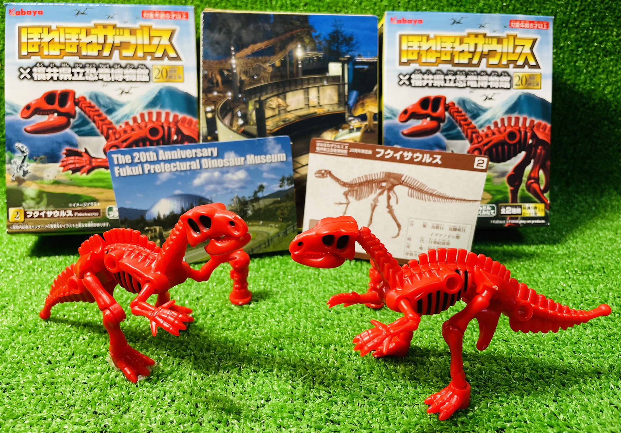 ほねほねザウルス 福井県立恐竜博物館SP フクイティタンセット