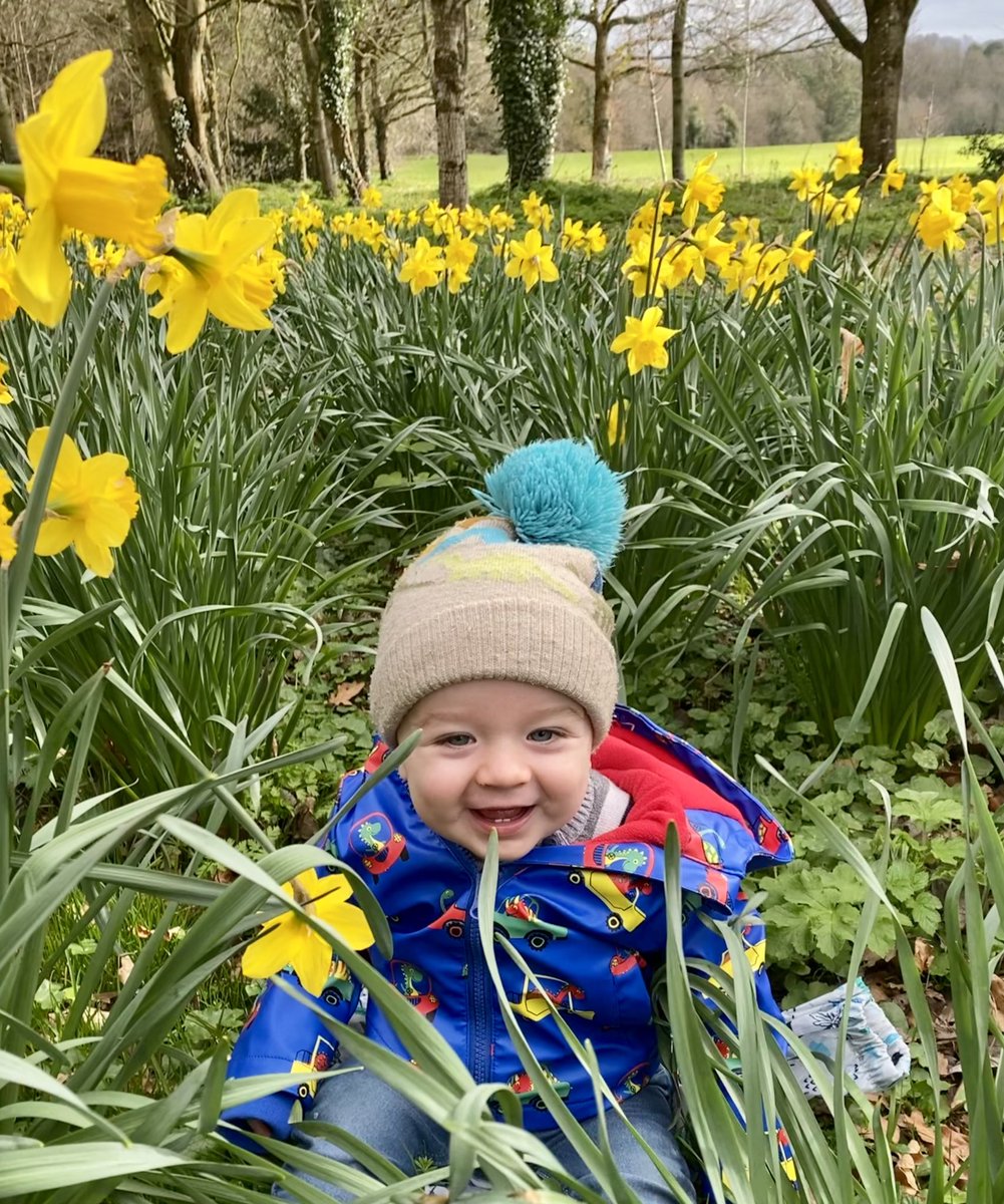 crokey86's tweet photo. Stop and smell the flowers 🌼 🌼🌼 @kilkennycastle https://t.co/sOcMIT1Zbq