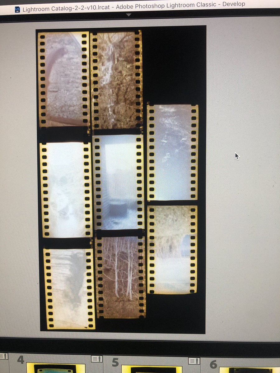 RedeyeRedscale's tweet photo. So, my #127Format experiment.
I respooled 35mm for 2 cameras, and managed to shoot both rolls with clean rebates. No fogging!!
I did manage to spool one length the ‘wrong’ way tho.
Now my issue is processing the files. I’m finding that one a tough nut. Any pshop or Lr tips?? https://t.co/8yBWgb1Ets