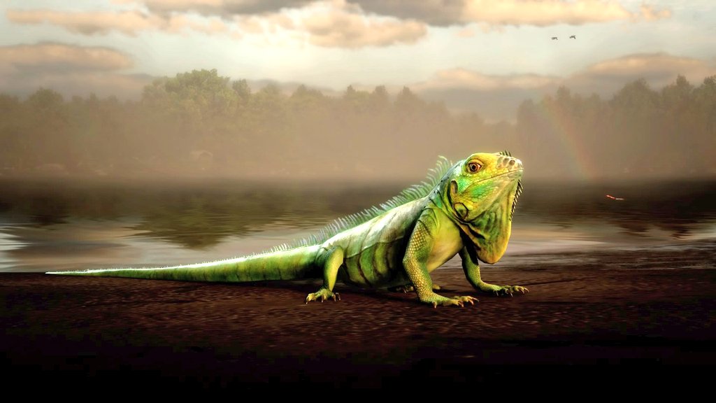 M_Joe_Hort's tweet photo. Wildlife 🐾
#RedDeadRedemption2 #RDOnline #RDO #SantaMuerteGang #RockstarGames #RDR2 #virtualphotography @RockstarGames https://t.co/p2nmFMExFl