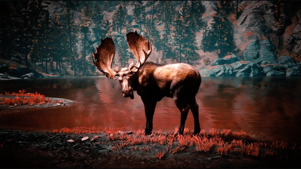 M_Joe_Hort's tweet photo. Wildlife 🐾
#RedDeadRedemption2 #RDOnline #RDO #SantaMuerteGang #RockstarGames #RDR2 #virtualphotography @RockstarGames https://t.co/p2nmFMExFl