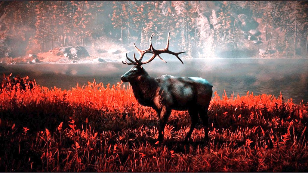 M_Joe_Hort's tweet photo. Wildlife 🐾
#RedDeadRedemption2 #RDOnline #RDO #SantaMuerteGang #RockstarGames #RDR2 #virtualphotography @RockstarGames https://t.co/p2nmFMExFl