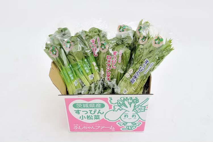 fusichanfarm's tweet photo. プレゼント企画
#茨城放送 よぐよぐオシャらぐっ！
特製キーホルダーを30名様にプレゼント
さらに3名様には有機野菜詰合せもプレゼント

応募は@fusichanfarm をフォロー&amp;このツイートをRTするだけなの♡締切は4/3(土)24時！当選者のみDMにてご連絡しますなの
#よぐよぐおしゃらぐ #ふしちゃんファーム https://t.co/8qURi8uBTe