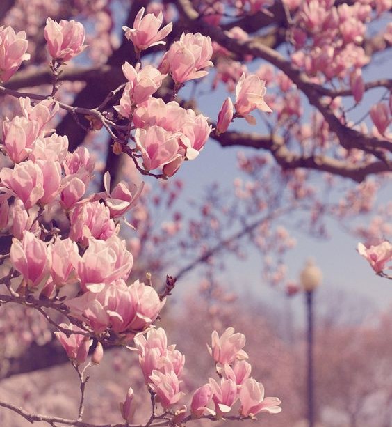nsymca's tweet photo. Spring Session begins on March 29th!
Register now to be a part of our community during the Spring time!
--> https://t.co/80sQeHdG80
#nsymca https://t.co/krIXRF4UjQ