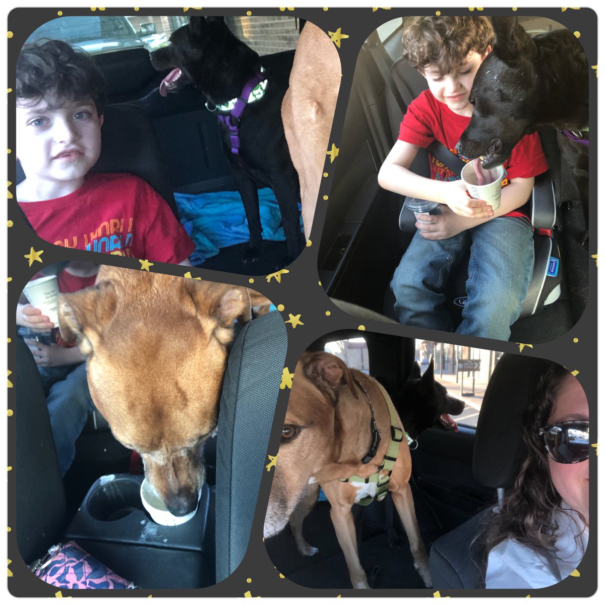 StayatH's tweet photo. We introduced our new pup to Pup-A-Ccino! He loves it! #pupaccino #Starbucks https://t.co/jpjQX3enr0
