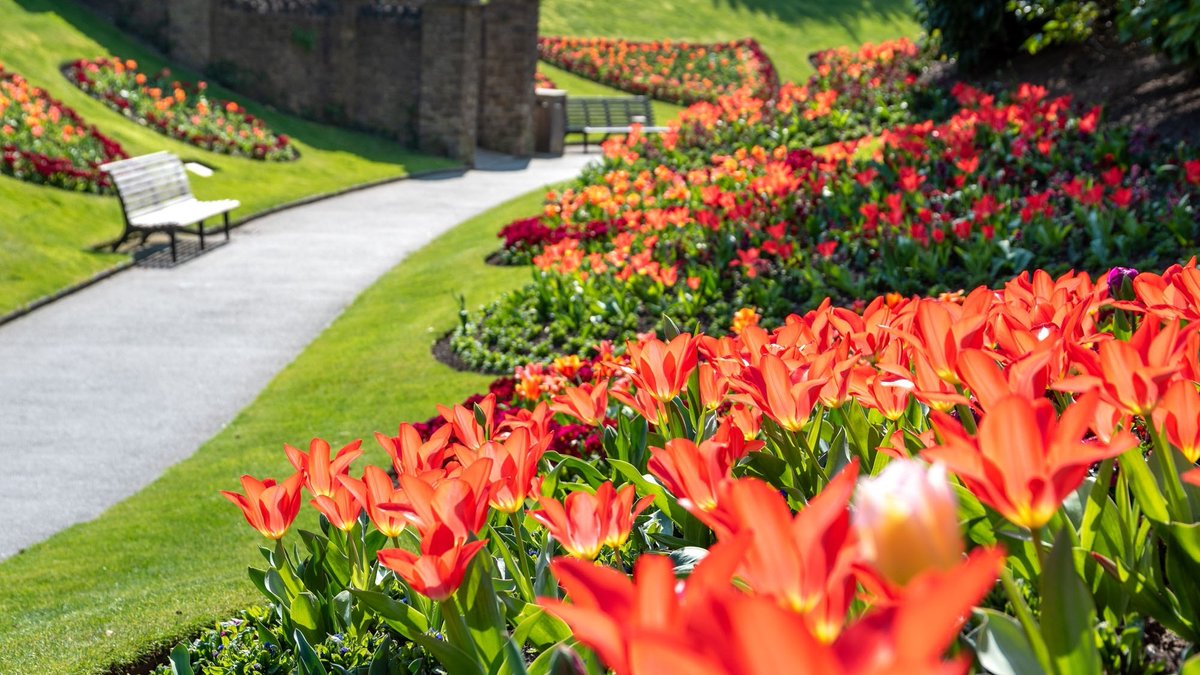 GuildfordBC's tweet photo. Are you meeting a friend for a coffee today – or do you need water to keep you hydrated on your walk?

Please help us #KeepGuildfordClean:
👉 Use our litter bins or take your litter home
👉 Don’t toss your litter
👉 Re-use your cups and bottles

#ISupportGuildford https://t.co/YeaCpQinsx