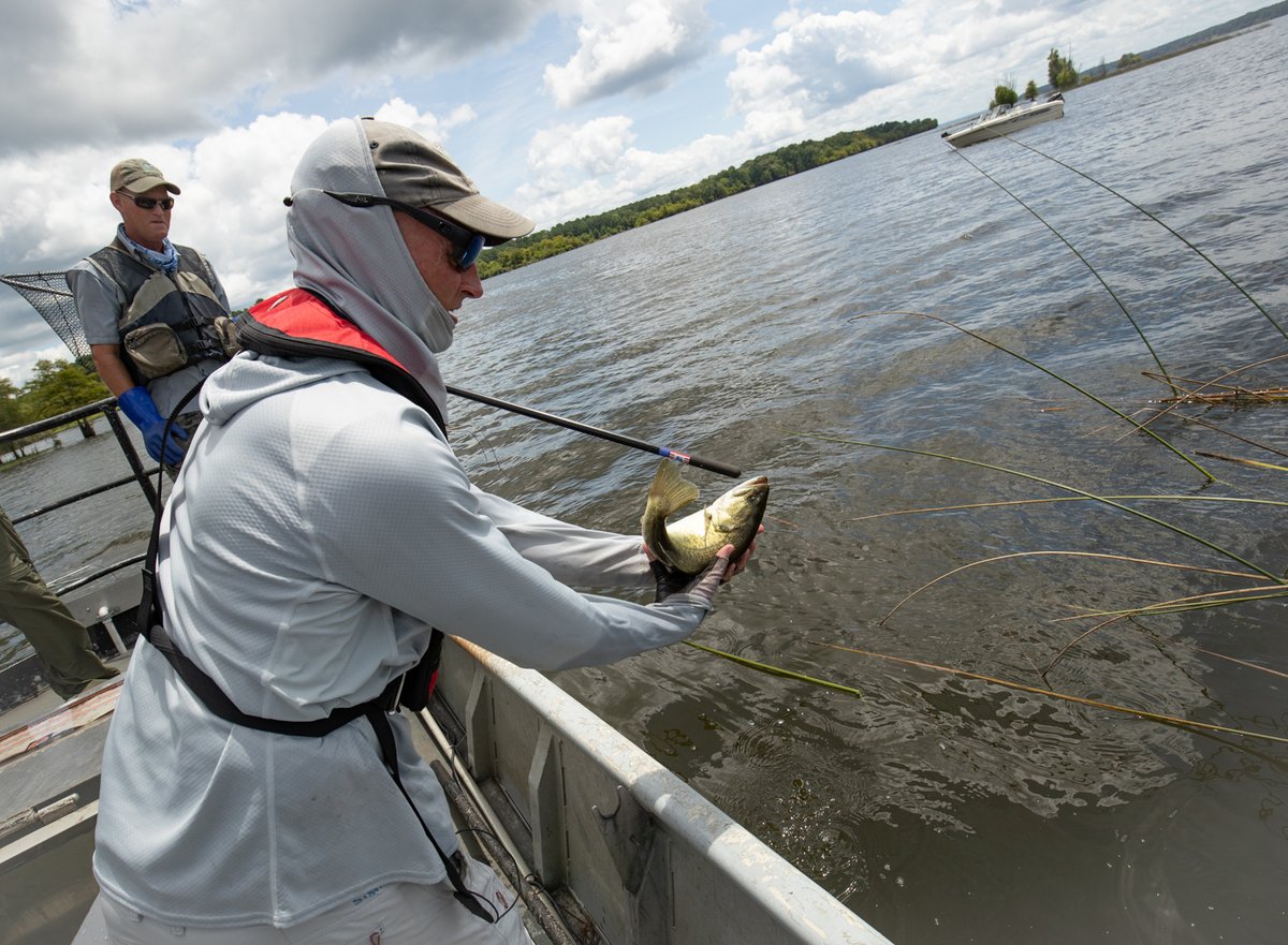 Anglers report they haven’t been catching bass as often, despite healthy fish populations in lakes. A new TPWD study is tracking the movements and behaviors of largemouth bass to figure out what’s going on.
tpwmagazine.com/archive/2021/m…