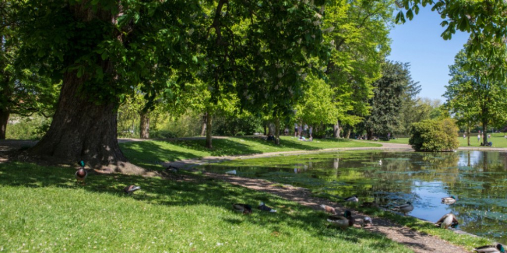 Essex_CC's tweet photo. The Essex Climate Commission has put in place recommendations on how Essex County Council can fight climate change and now is your chance to be part of the conversation.

Take part in the survey and have your voice heard here: https://t.co/tQcZgdPhq0 https://t.co/dPnwrVKxkm