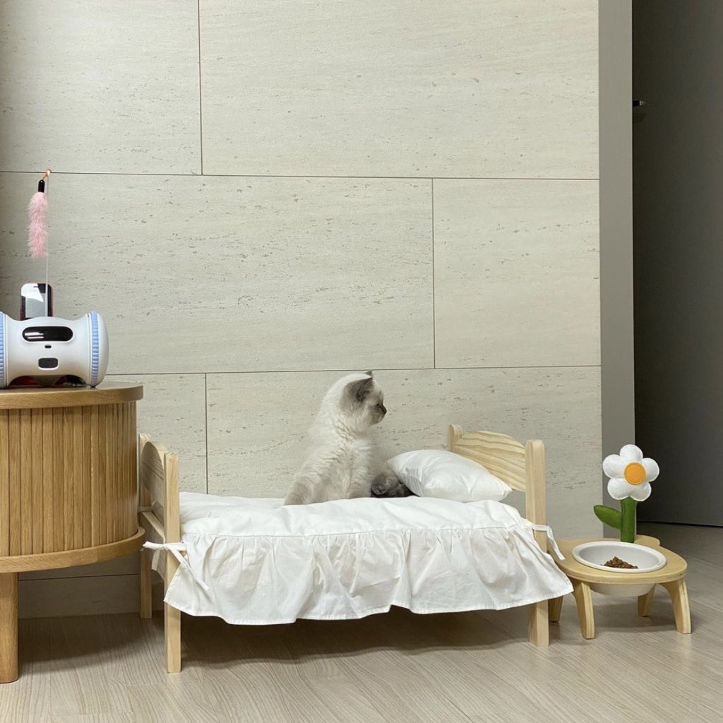 พี่เล้งปลุกหนูตะไม กำลังหลับสบายเนยอ้ะ 😿