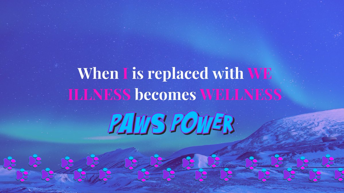 PawsPower3's tweet photo. https://t.co/Yh5nZlvO97