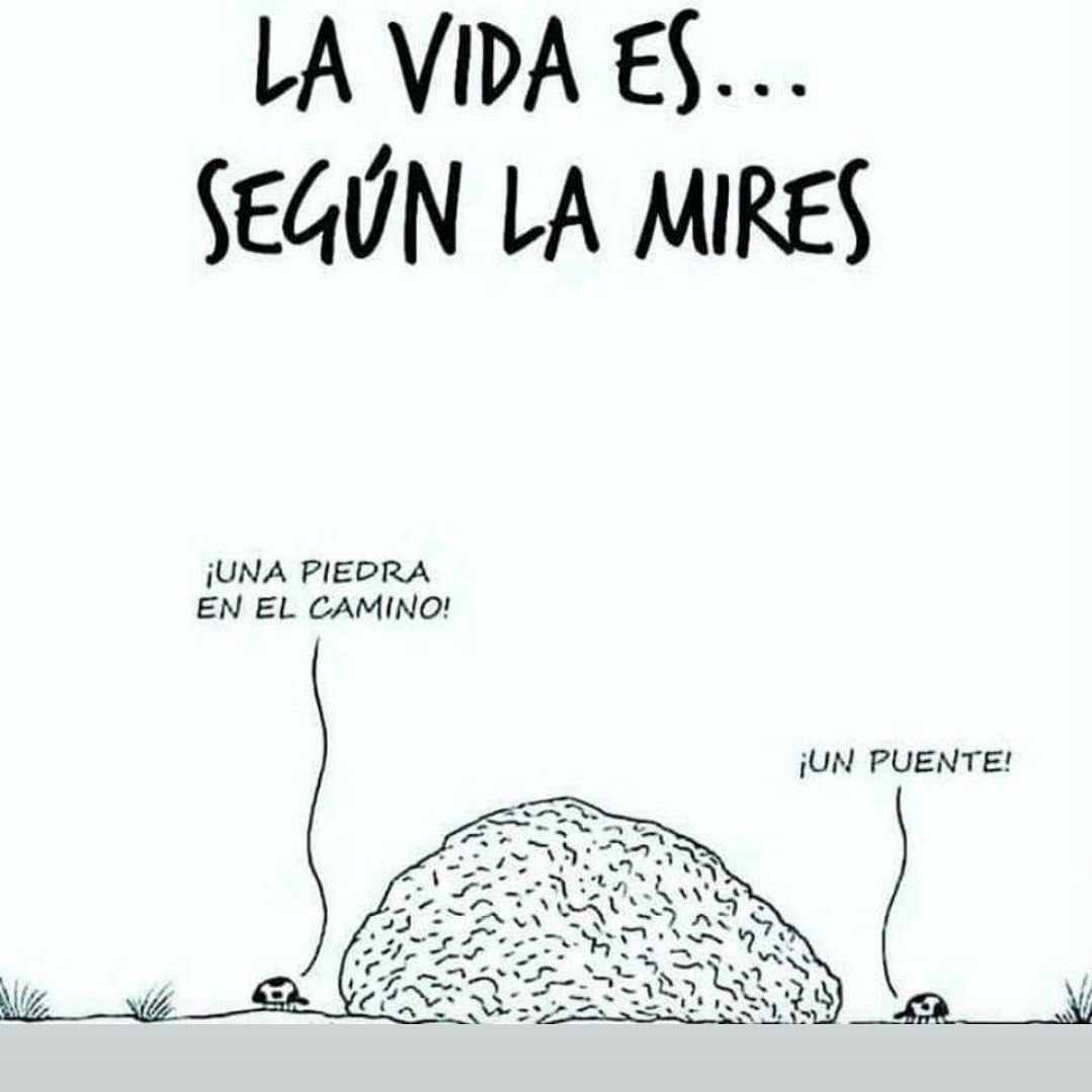 vazquezmontoto's tweet photo. La Vida es Siempre una Oportunidad! https://t.co/1DU1lN0hus