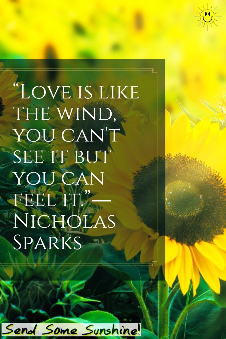 1228erin's tweet photo. @RedMajid @ReikiArthur @Nikhil63870659 @LesleyLupo @cvarsalona @SteveHuang68 @BarbaraLoraineN @DeborahKozich @HOLLYJBIRD @JanetNestor @SathieGounden @LovemakersF @PrachiMalik @PoloOrtiz9 @pkamla1 @loveGoldenHeart @LisaTruthJohns @Susanjmccann @roamingpiscean @Grace19001371 @LUTLjerry @lightupthelove @mukulnandi1972 @Cynthia55678360 @elainemwalters @Dianne__LadyD @Gaurav0801 @BabyGo2014 @cherylcorless41 @janisexton @Lisandre_Moreau @Voieinterieure @MohdMuzzammilK @gede_prama @GiGiBclub @madblack65 @cassiepullman @Fsxdoll @tmotola @mindfulheal @KariJoys @Inspireu2Action @melanie_korach @Laurettamylove @mscator @joybellabella @gary_hensel @eralbertson @MyPowertalk @alexdomelle You always know when #love is there 💚💚💛💚💚💛💚💚

#ThinkBIGSundayWithMarsha 
#JoyTrain #SaturdayThoughts #LightUpTheLove #BeLove 
#GoldenHearts #ChooseLove
#StarFishClub #inspiration 
#MondayMotivation #BeKind 
#KeepShiningYourLight 💚

#LifeDifferenceMakers 🔆🔆 https://t.co/9q0TnT6H9t