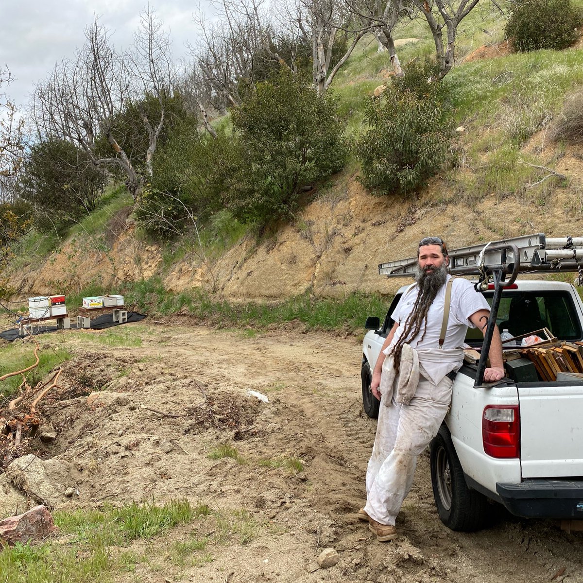 papawsfarm's tweet photo. Added bee hives to the farm to serve as natural pollinators #bees #pollinators #californiafarmers https://t.co/9GXGywb8U7