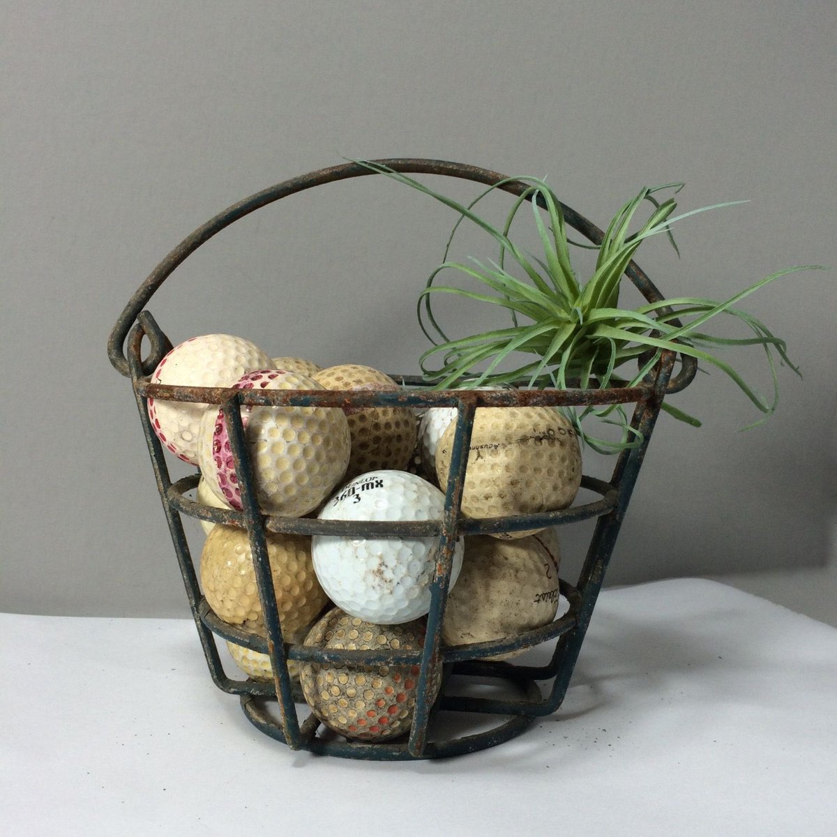 Niota National Golf Association tweet media