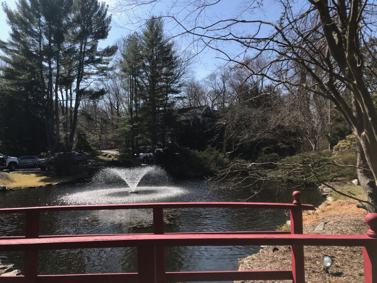 thepondandlake's tweet photo. Happy weekend!

#pondsandlakes  #bridgeview #fountainview #westportct #fairfieldcounty #fairfieldcountyct #fairfieldcountyrealestate #wateraeration #pondfountain #pondaeration #ctponds #watermanagement #connecticutoutdoors https://t.co/6GlgtLJKCz