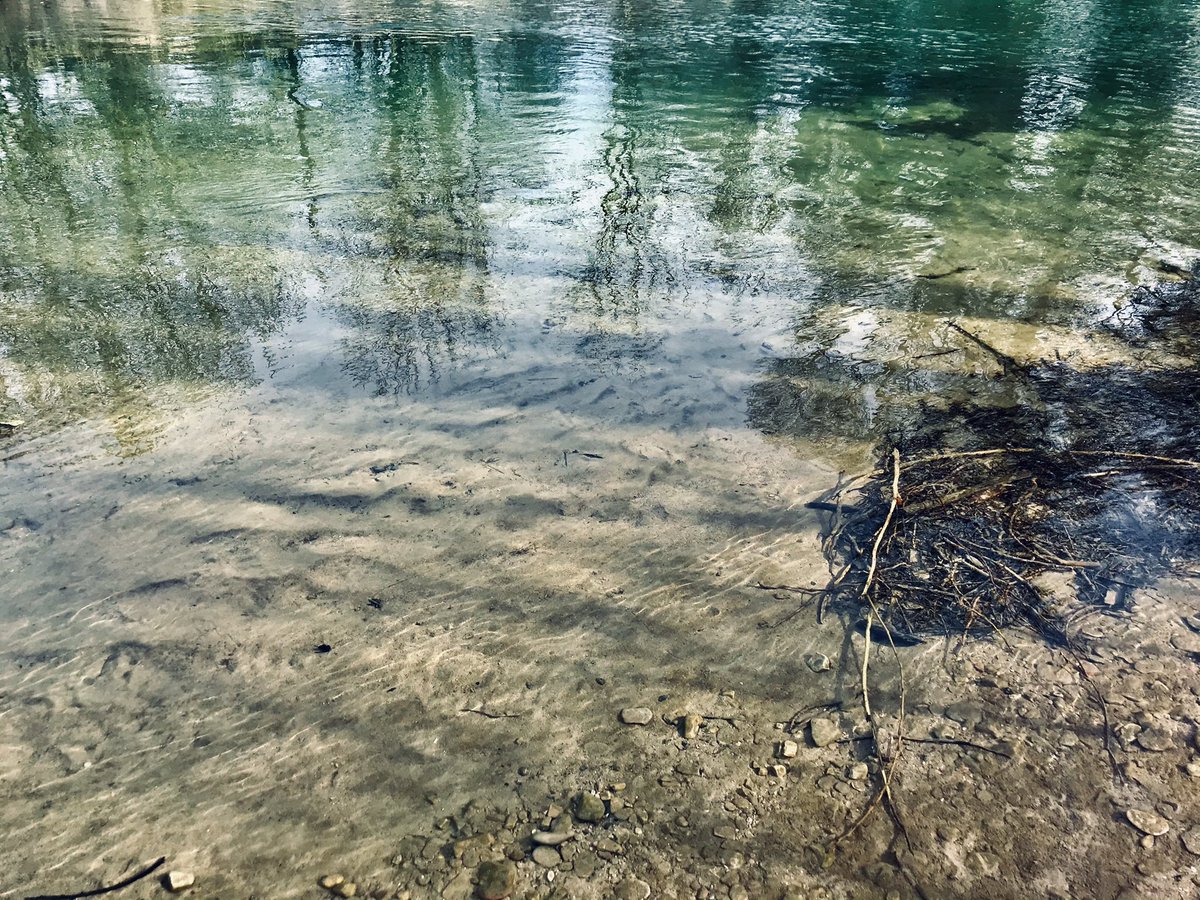 Site identification, #eDNA protocol testing and water sampling ; a great day of fieldwork on the Albarine river!  Objective : to compare classical and eDNA-based biomonitoring approaches ! 
@Tristan_Lefebur 
<a href="/LEHNA_lab/">LEHNA</a> <a href="/EcoFlowS/">EcoFlowS</a> @EurofinsHbFrance