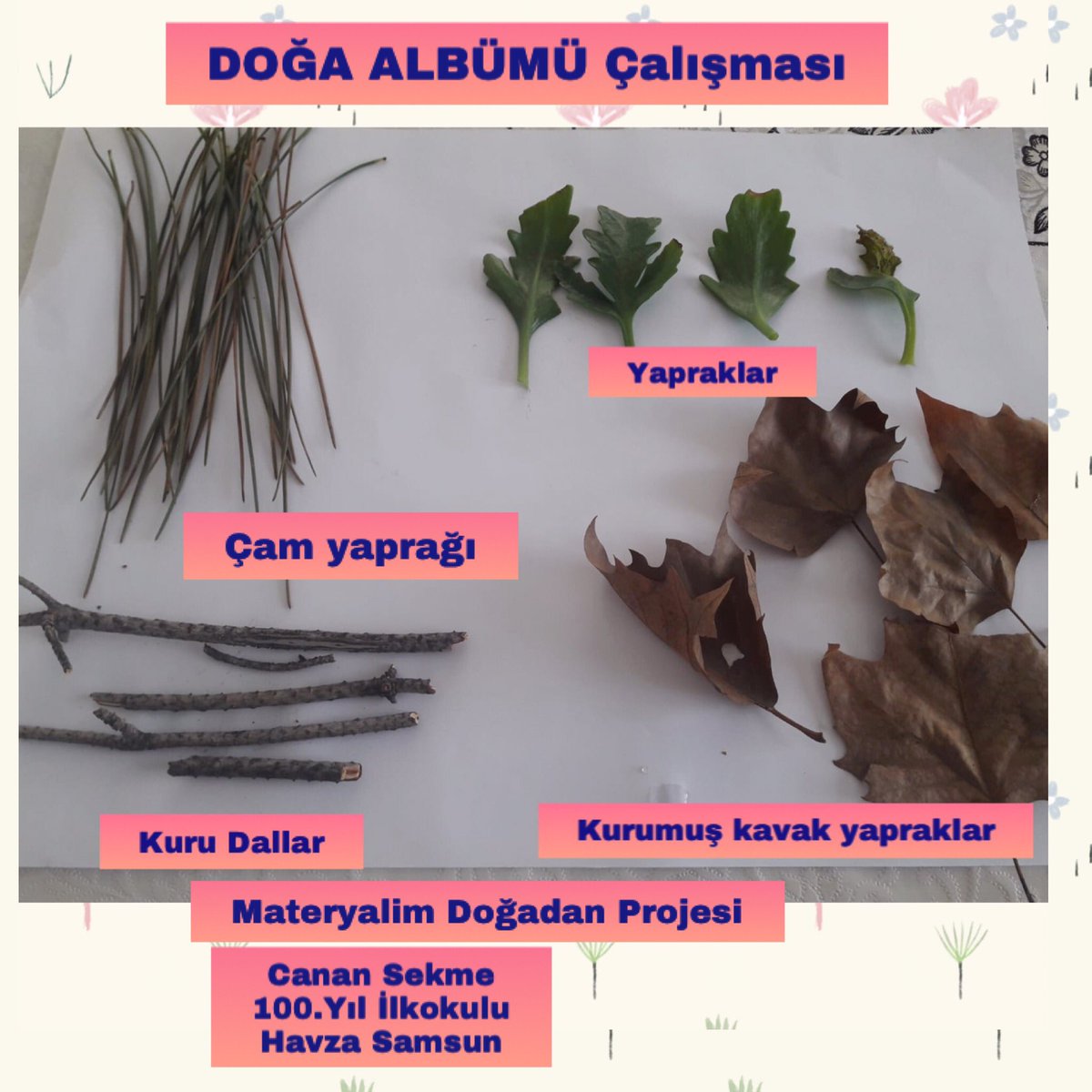 Doğa Albümü çalışmasından kareler <a href="/tcmeb/">Millî Eğitim Bakanlığı</a> <a href="/ziyaselcuk/">Ziya Selçuk</a> <a href="/samsunmem/">Samsun İl Milli Eğitim Müdürlüğü</a> <a href="/MDogadan/">MATeryalim Doğadan</a>