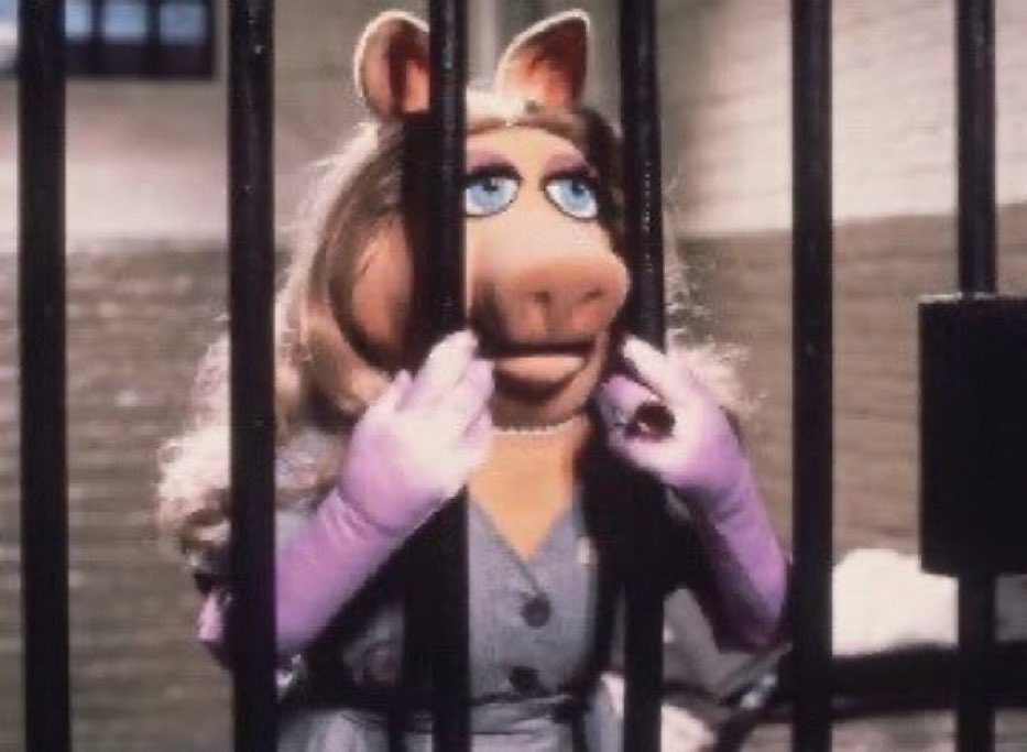 i cant find that hyungwon clip