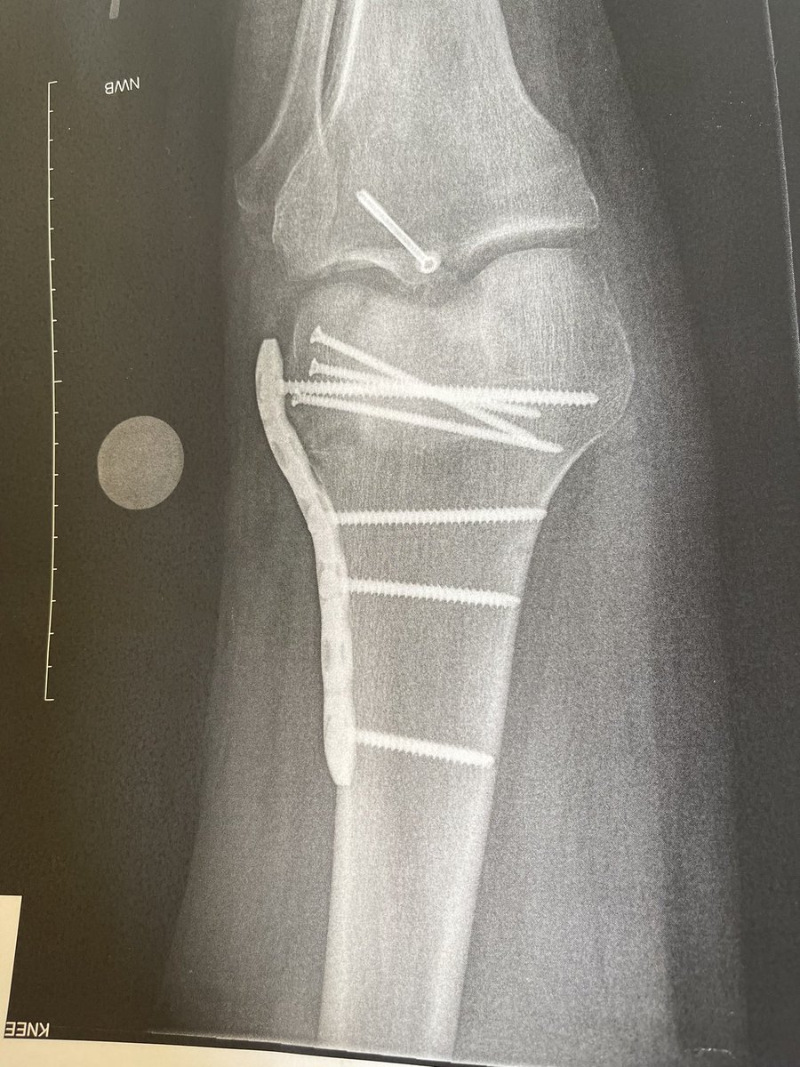 Brian Halligan tweet media