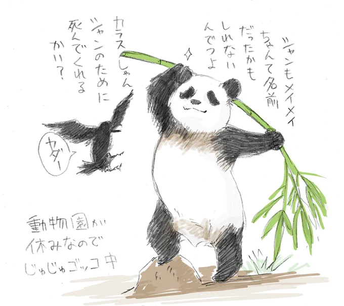 シャン子命名案にメイメイがあったという話を聞いたので 