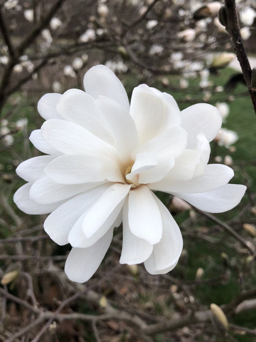 Spring is here at Renaissance Rentals