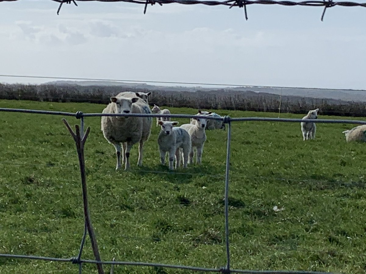 ToniaAntoniazzi's tweet photo. Now that ‘stay local’ has lifted it was lovely to go for a 9.5mile walk in the constituency #ThreeCrosses #Gowerton #Penclawdd #Gower
That’s 107 miles so far in March for the #BontMarch raising money in memory of Nate Roberts @BontAFC
Pls donate here: https://t.co/QAuzZlXKsI https://t.co/AKXn30daxA