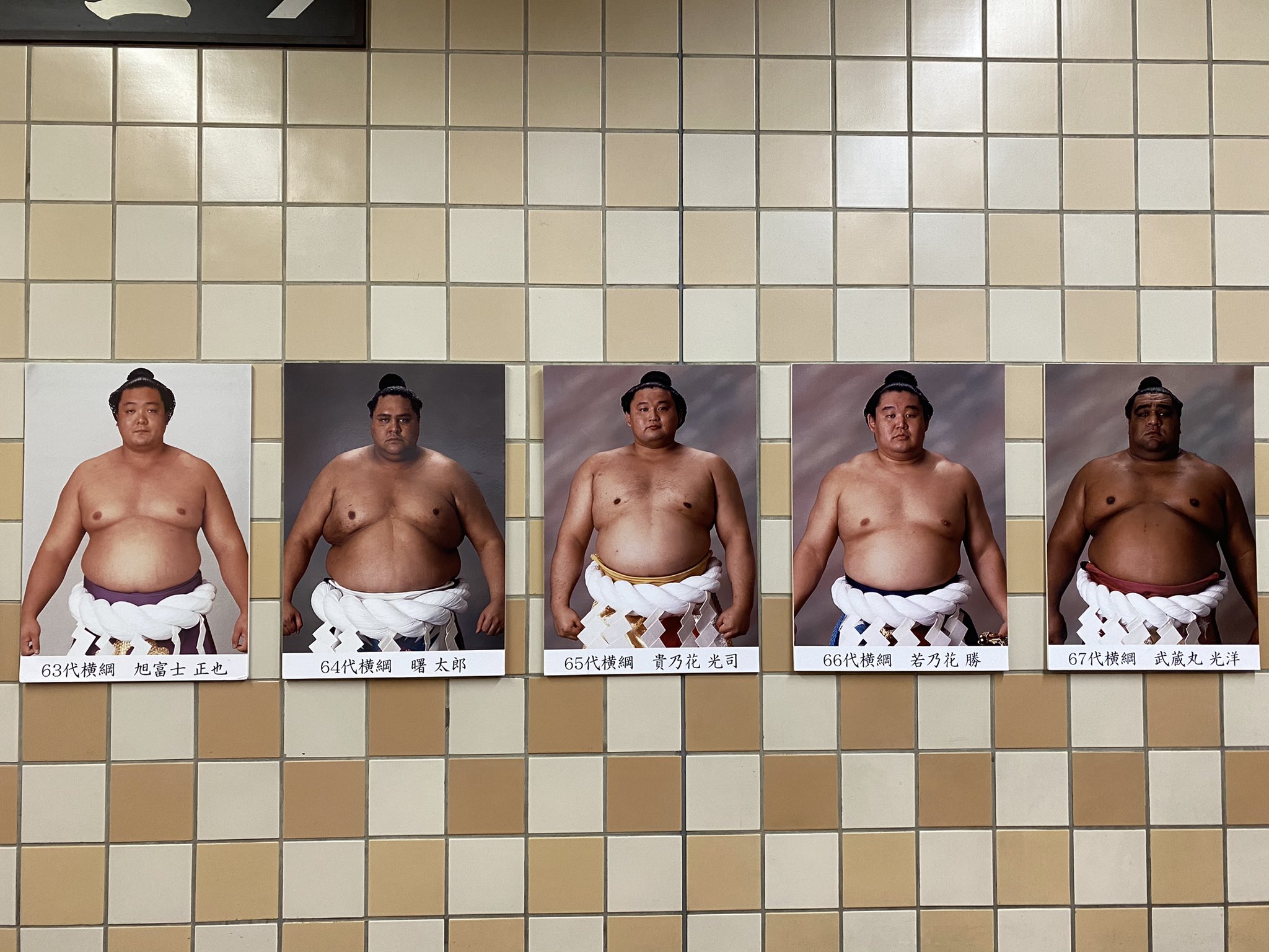 旅猫 Al Twitter 国技館の壁には歴代横綱 世代的にはこのへんがそそられる そしてウルフ やっぱり群を抜いて男前 初代近くまで遡ると写真から絵に変わっていく 歴史 売店には大相撲グッズも色々あってその物色だけでも楽しい お相撲てぬぐいを大量連れ帰ってき