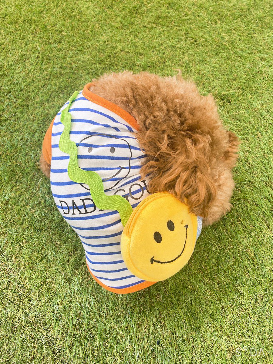 ペット デ ルポ 今日バロン君がご来店 ルポオリジナルニコちゃんtシャツと レインコートをお買い上げください ました O O とっても可愛く着こなして くれました Petderepos ペットデルポ みのお ルポオリジナル オリジナル犬服 Minoh 箕面市